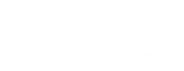 Bœuf & Cow