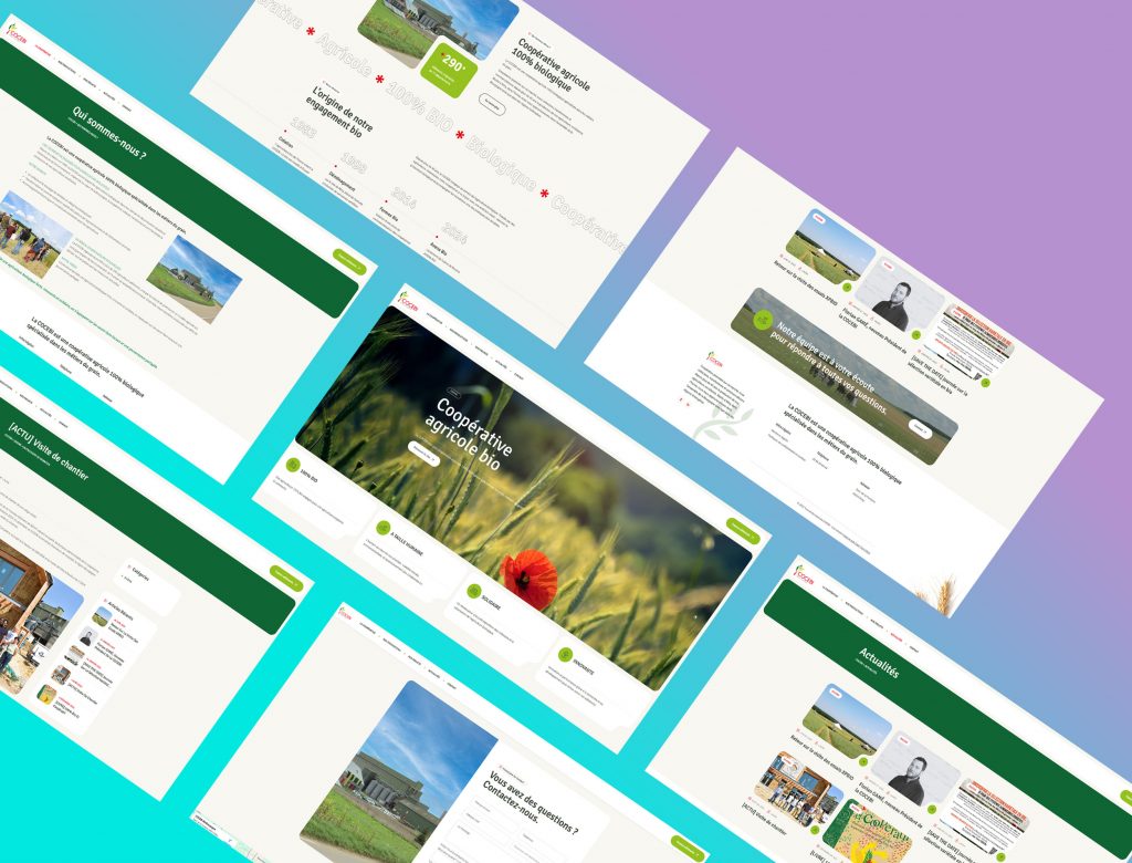 Site Cocebi